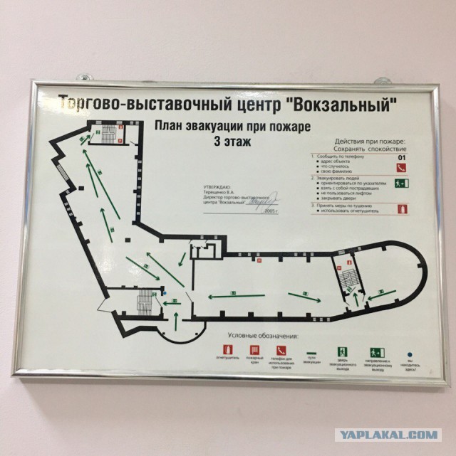 Порция картинок