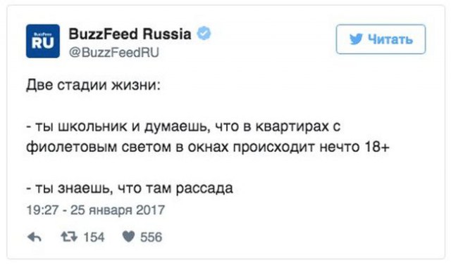 Подборка интересных и веселых картинок