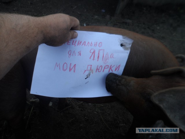 Вова, мне с тобой не по пути