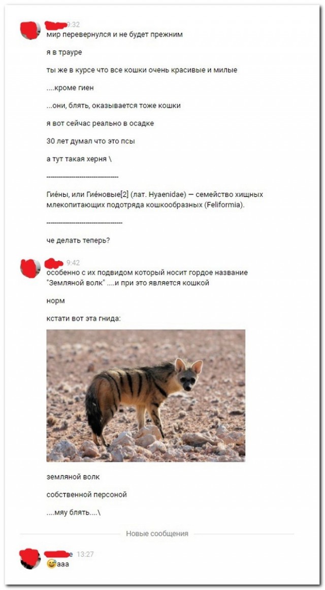 Смешные комментарии из социальных сетей