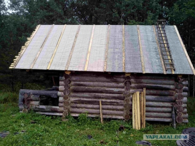 Вепсская тайга летом или Старый Бор