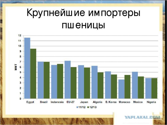 Россия задумалась подарить Северной Корее тысячи тонн пшеницы