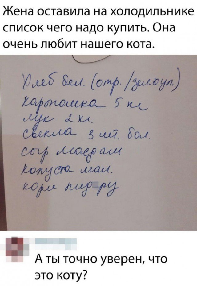 Дурацкие картинки