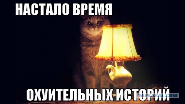 Не повезло Сашке — говорили родственники