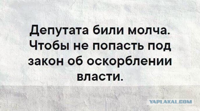 Кривые зеркала