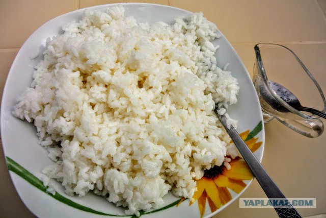 Рыбки на День Рождения ЯП)
