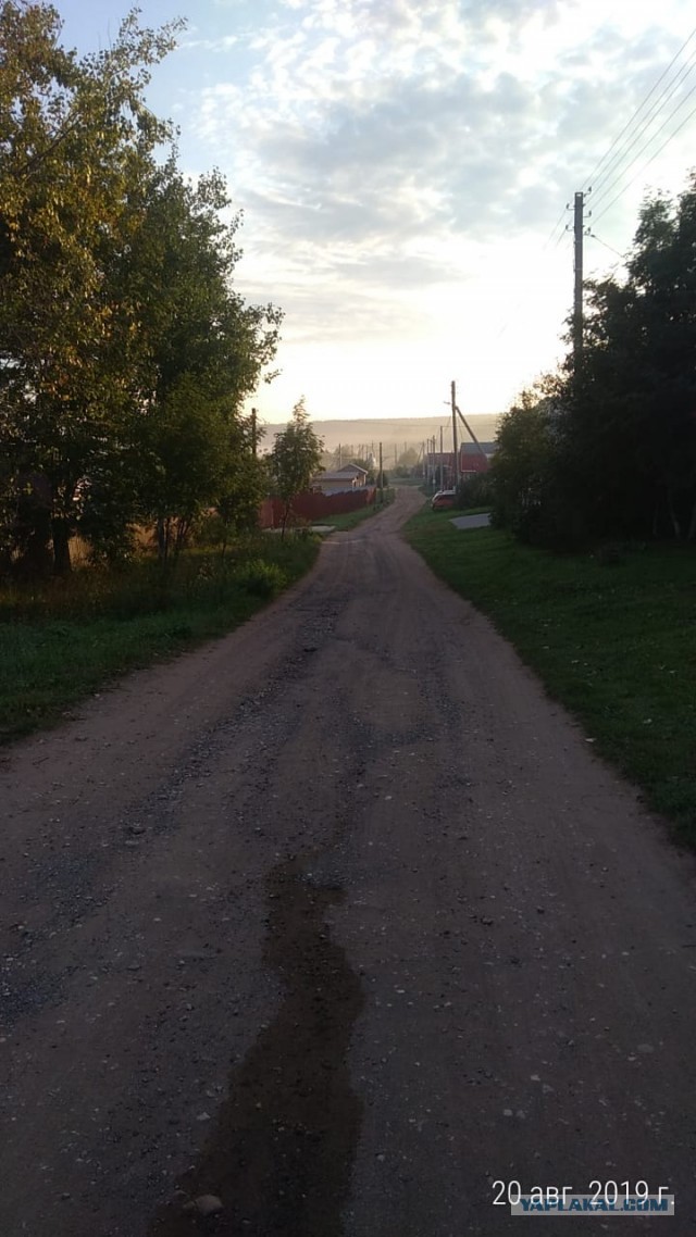 Тихая охота на шампиньоны