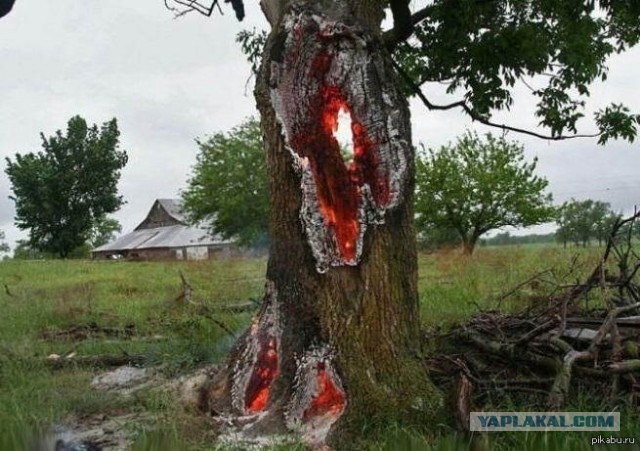 Шаровая молния