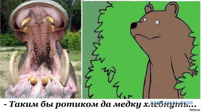 Ученые: До динозавров на Земле царили существа с огромными головами