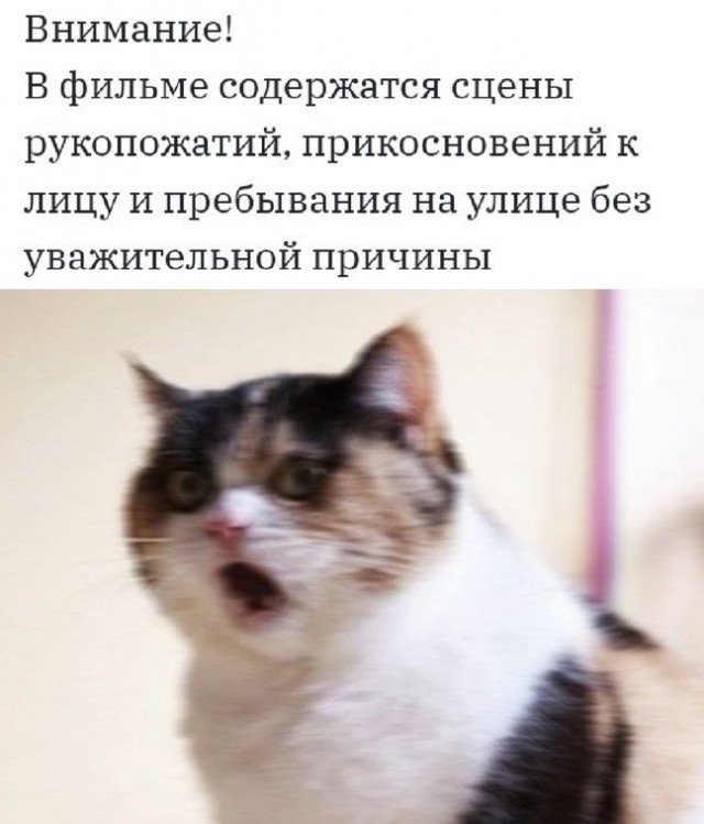 Кретинки 01.05.20