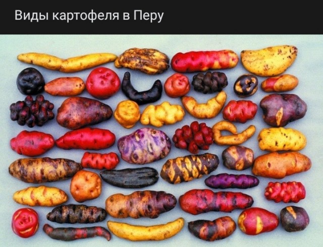 Почему государству выгодны антимужские законы в современном мире