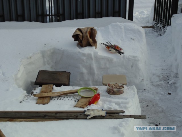 Дача, грибы, мясо, овощи.