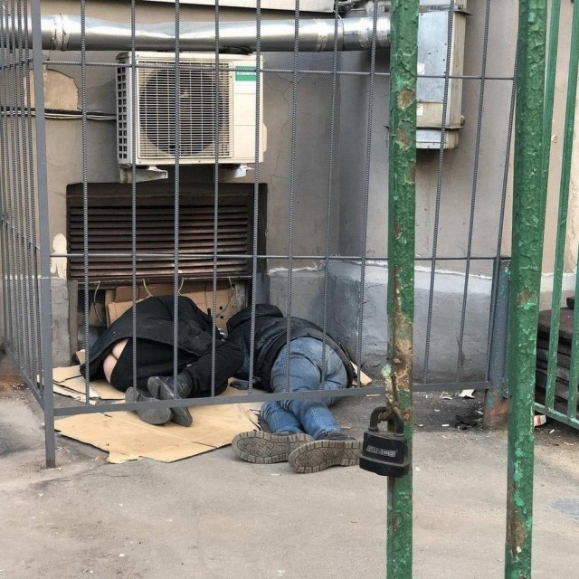 Скотсети и прочие интернеты 13.07.2020