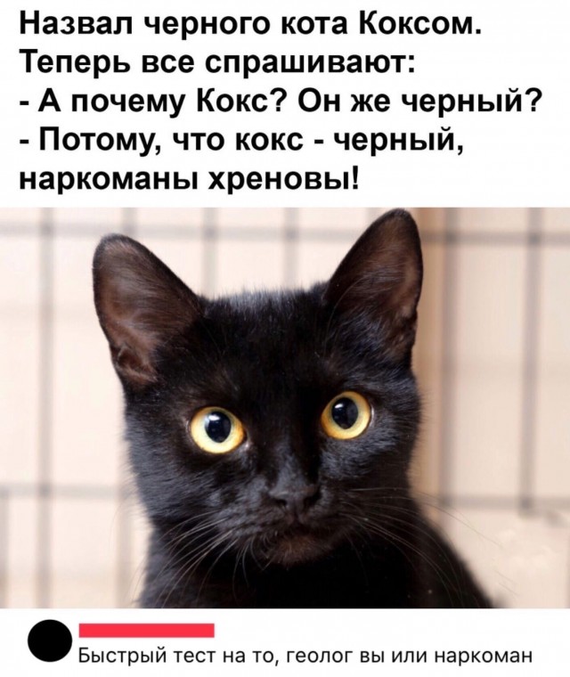Бредзона 09.08.20