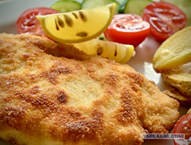 Еще раз Кордон блю