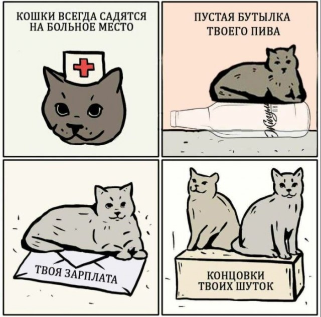 Бредзона 23.02.21