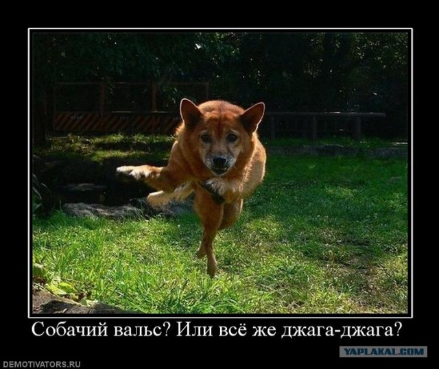 Патриоты. =)