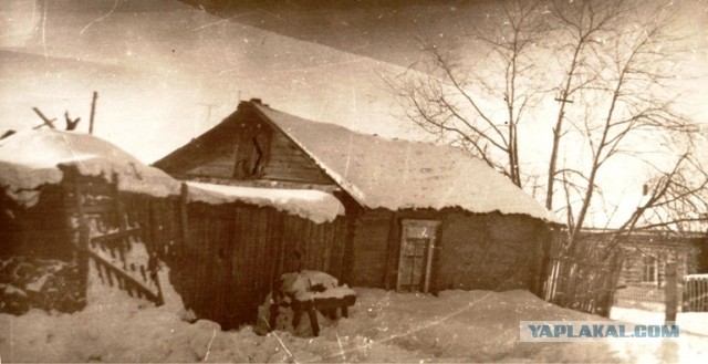 Дачное детство