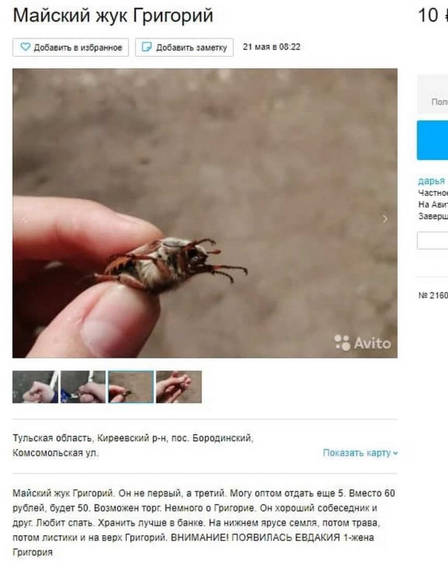 Чудики с Авито
