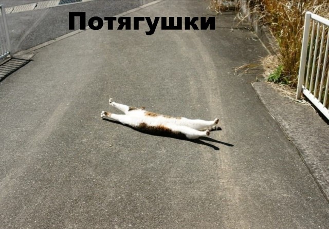 Так себе картинки 30.07.21