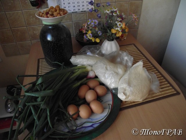 Пятничные посиделки на теплотрассе ©