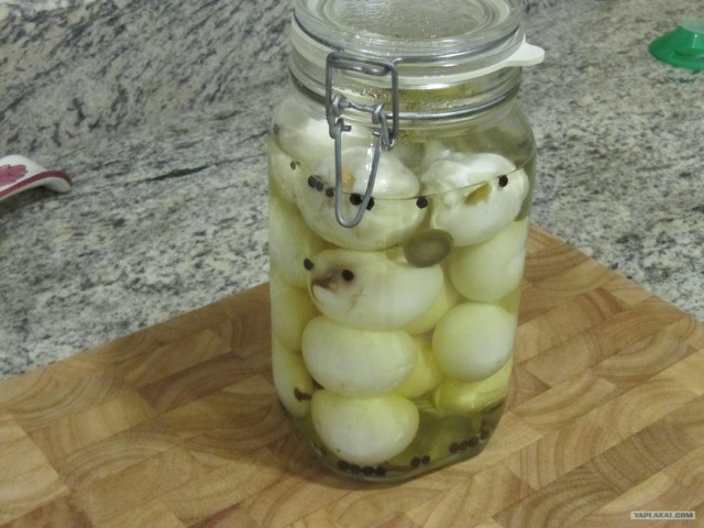 Заготовки на зиму for Sveshka
