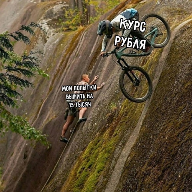 Весёлый полтишок 19.11.2021
