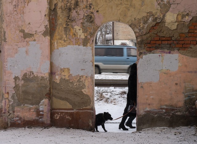 2021 в фотографиях