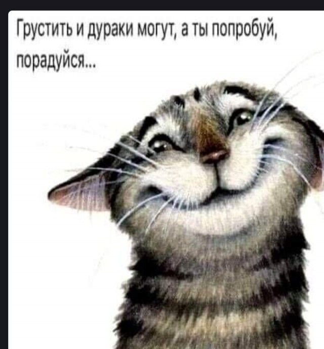 Баянисто-небаянистый юмор 8.01.22