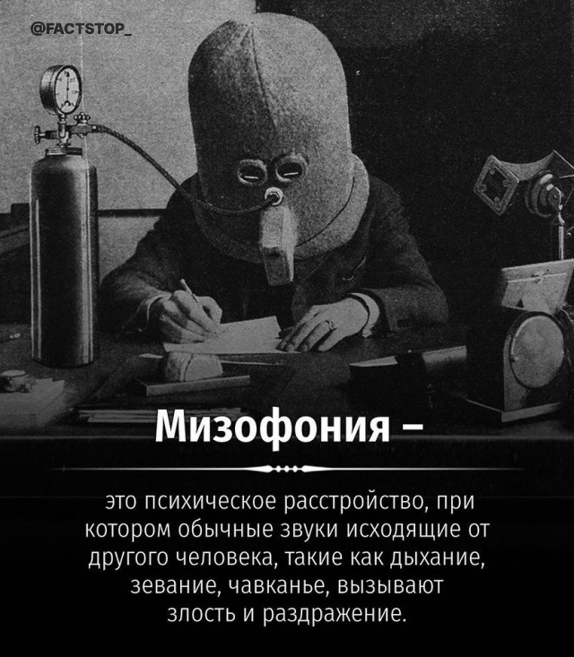 Человек собаке друг и другие картинки и мемы  под настроение