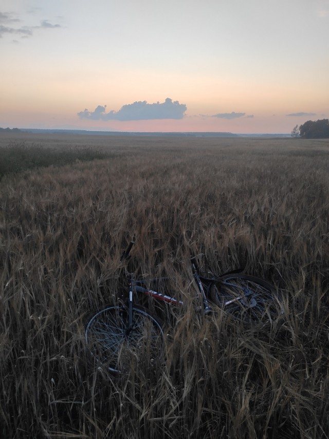 Мое небольшое увлечение. Мобильная фотография