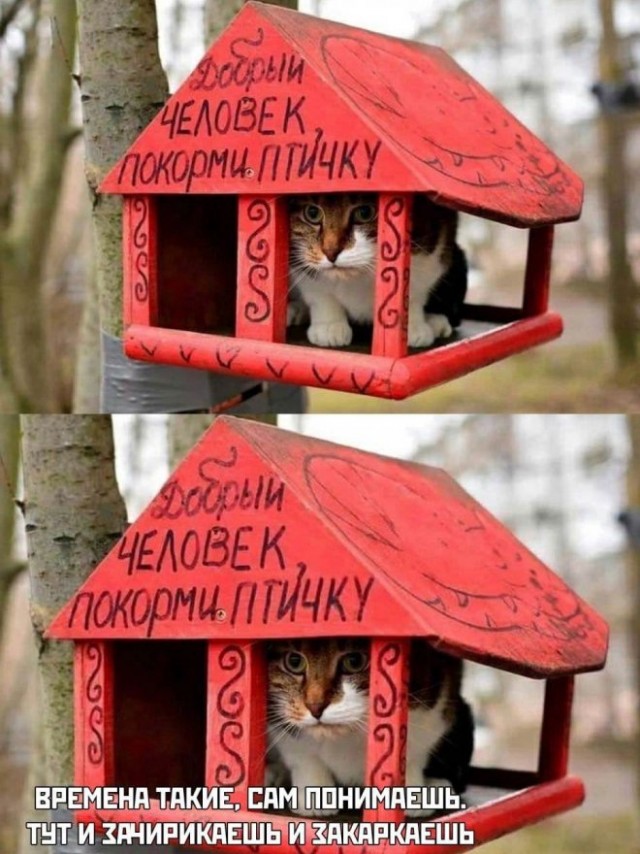 Картинки и мемы, всем отличных выходных