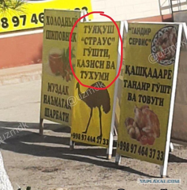 Кулинарная общалка