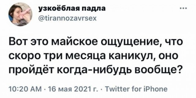 Картинки и мемы, начало праздников