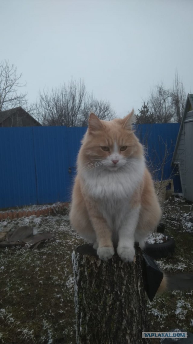 У кого так же?