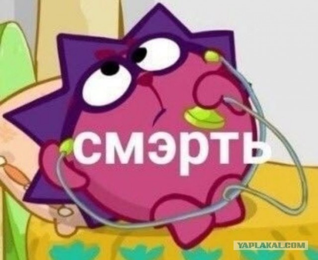 Это вам не инстаграмм (июнь 2022)