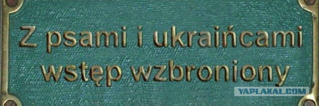 Украинцев не пустили в бар в Польше