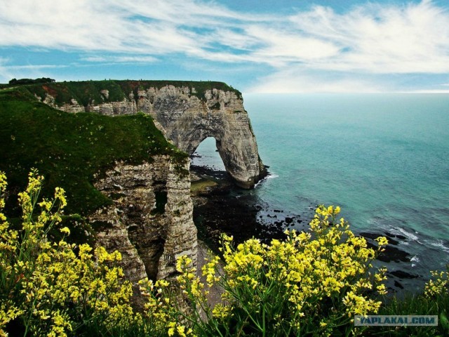 И целого мира мало!