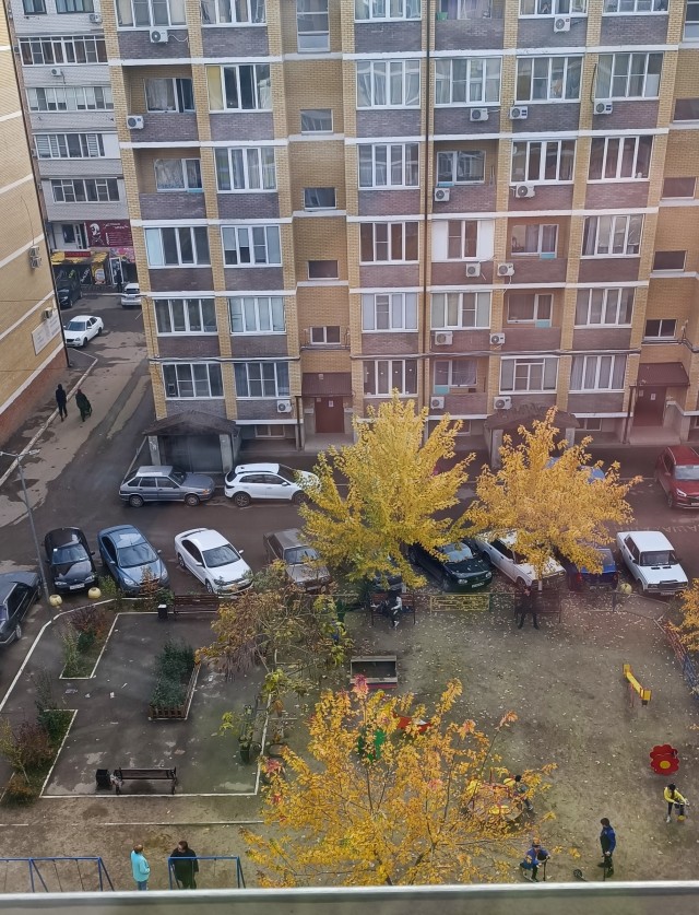 Давно вроде не было... А что у вас за окном