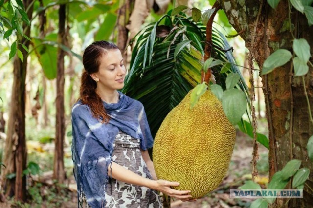 Необычный фрукт