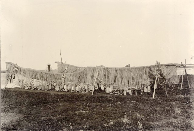 Сибирские казаки на службе и дома. Альбом 1911 года