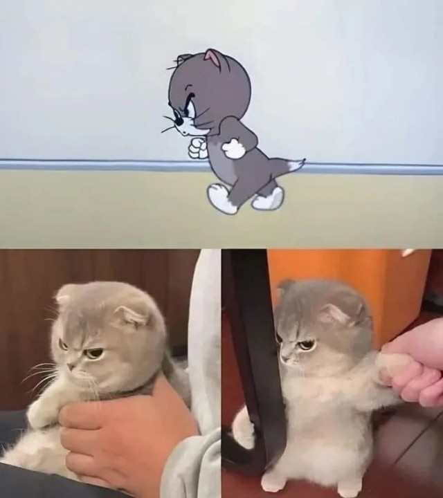 Он существует