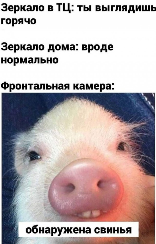 Немного картинок для настроения