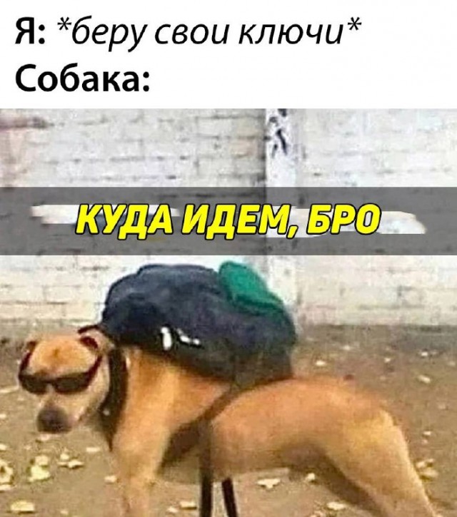 Картинки и мемы для настроения - 181