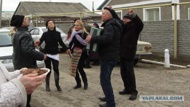 Крым в феврале или "Не стреляйте в белых лебедей!"