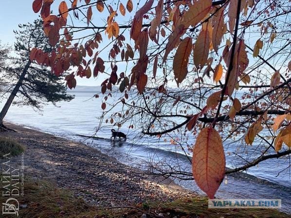 В Институте водных проблем РАН предлагают брать с туристов по 50 тысяч за посещение Байкала