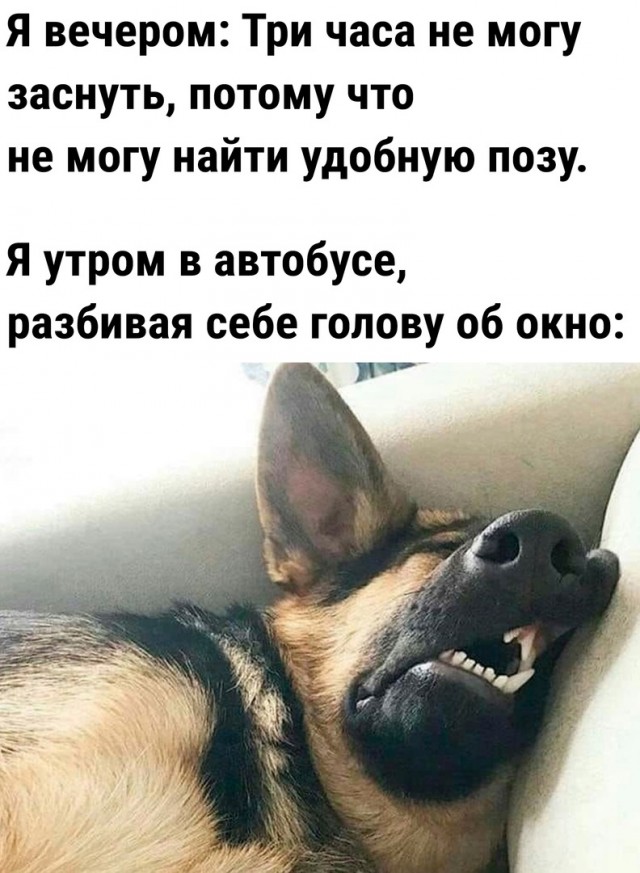 Так себе картинки 03.12.23
