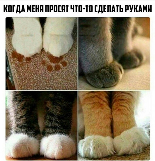 Почему на Кавказе запрещено общаться зятю со своей тёщей, а тёще приходить в дом к молодым?