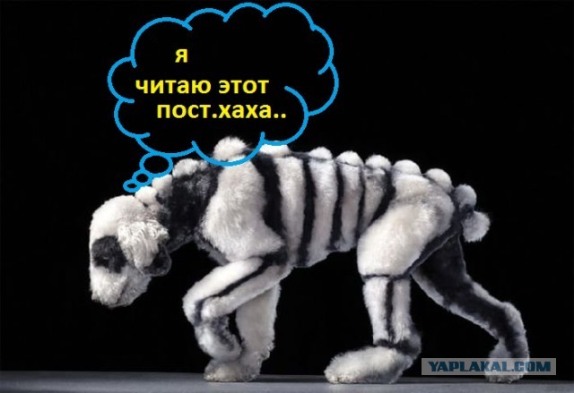 Самооборона