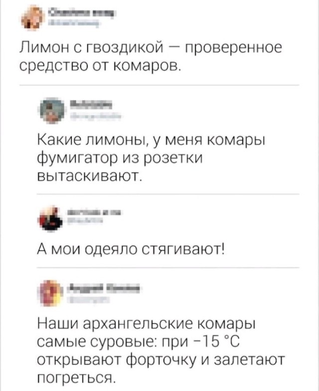 Всего понемногу. От 14.01